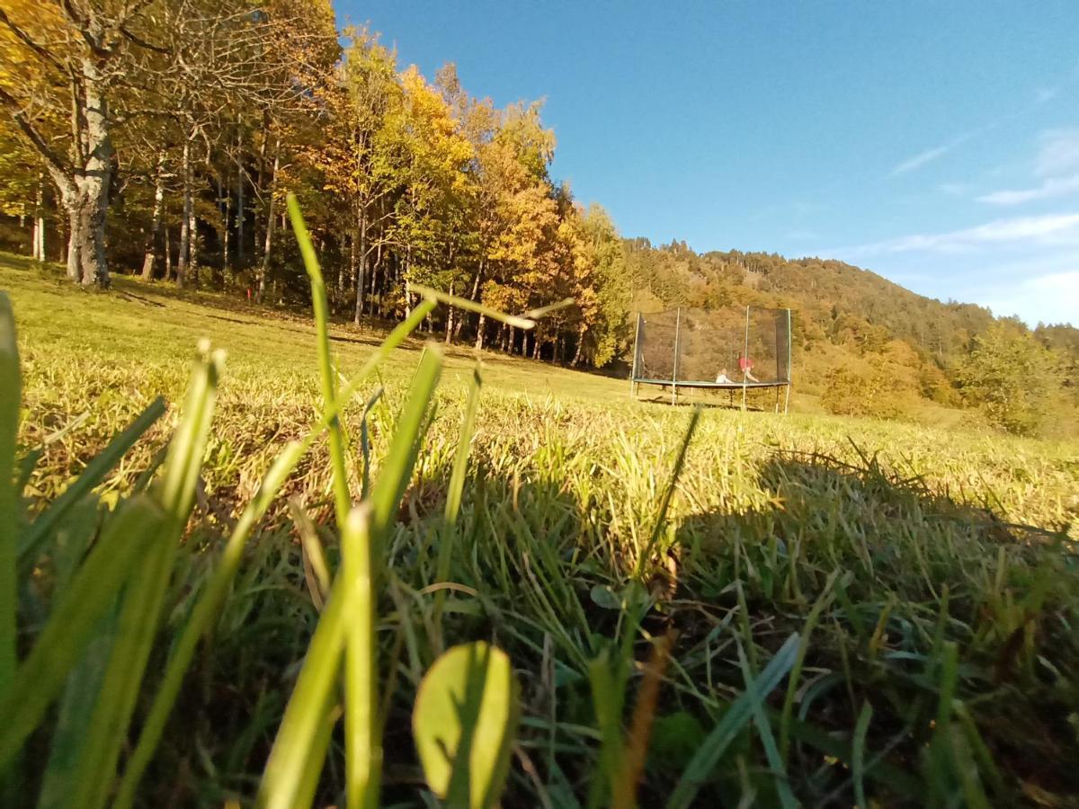 Waldner'S Ferienwohnung Hermagor-Pressegger See Luaran gambar