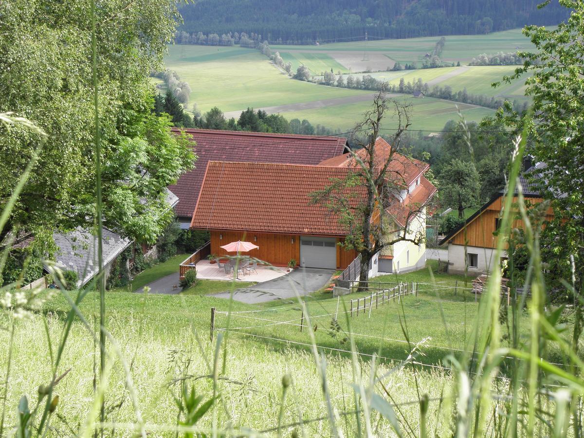Waldner'S Ferienwohnung Hermagor-Pressegger See Luaran gambar